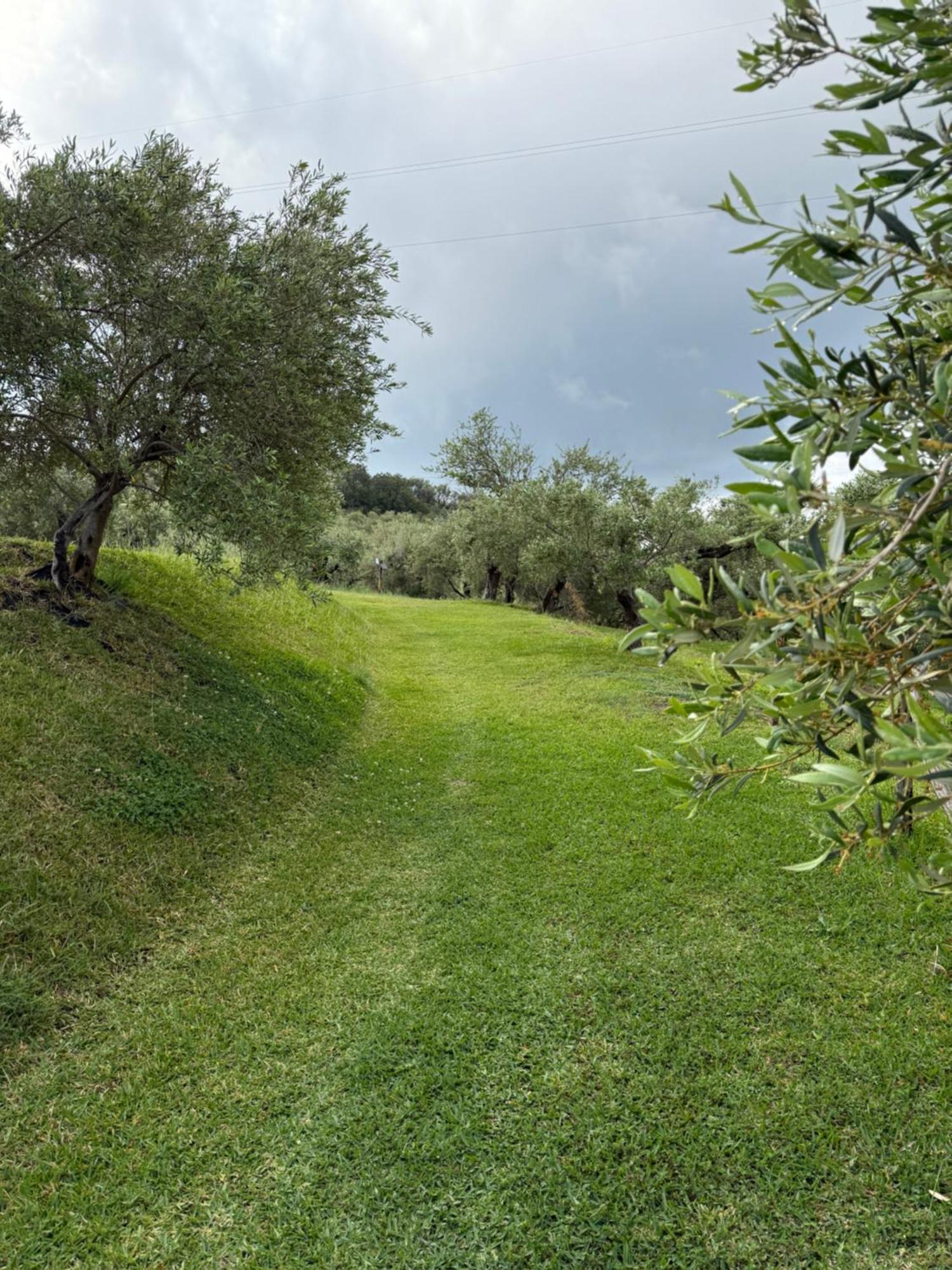 Agrolea Ξενοδοχείο Terme Vigliatore Εξωτερικό φωτογραφία