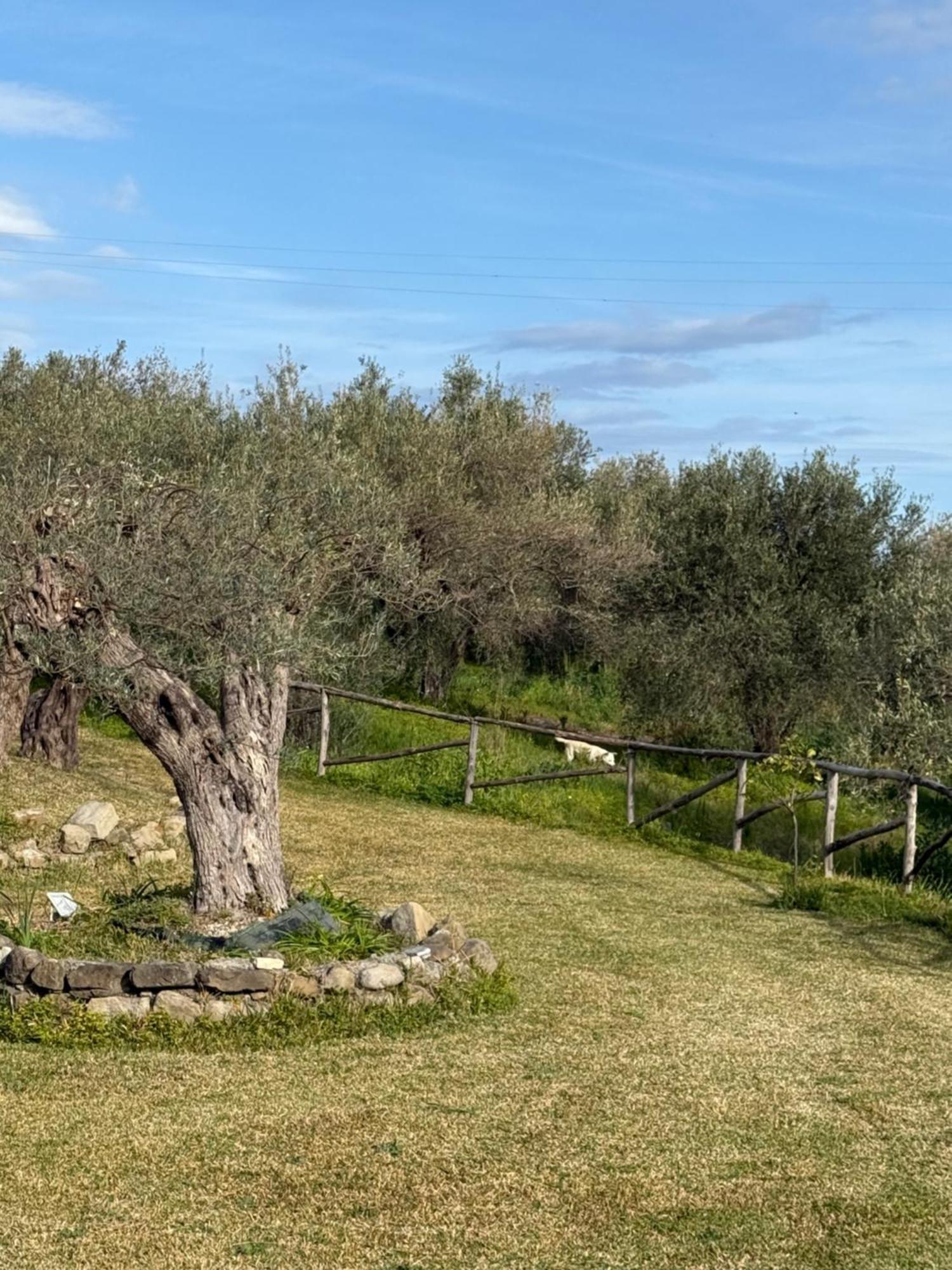 Agrolea Ξενοδοχείο Terme Vigliatore Εξωτερικό φωτογραφία